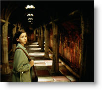 Copyright, Picturehouse Films