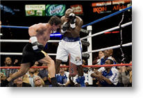 Copyright, MGM Distribution Company