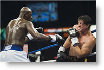 Copyright, MGM Distribution Company