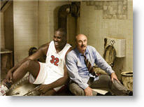 Copyright, The Weinstein Company, Buena Vista Pictures Distribution, Dimension Films