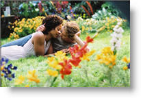 Copyright, Focus Features