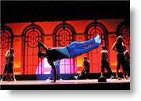 Copyright, Buena Vista Pictures Distribution