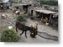 Copyright 2006, New Line Cinema