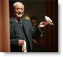 Copyright, Buena Vista Pictures Distribution