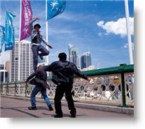 Copyright, The Weinstein Company