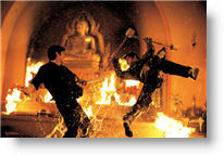 Copyright, The Weinstein Company