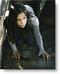 Copyright, Rogue Pictures