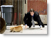 Copyright, Buena Vista Pictures