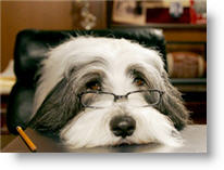 Copyright, Buena Vista Pictures