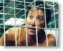 Copyright, Buena Vista Pictures