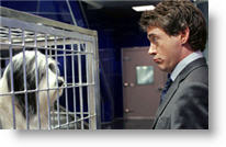 Copyright, Buena Vista Pictures