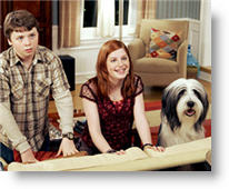 Copyright, Buena Vista Pictures