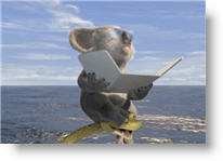 Copyright, Walt Disney Pictures