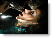 Copyright, Fox Atomic