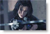 Copyright, Screen Gems