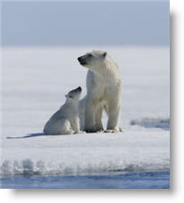 Copyright, Paramount Classics