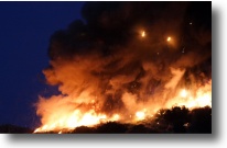 Copyright, Kino International Corp.