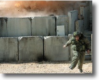 Copyright, Kino International Corp.