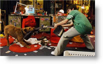 Copyright, Twentieth Century-Fox Film Corporation