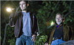 Copyright, Miramax Films