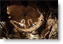 Copyright, Fox Atomic