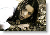 Copyright, Lionsgate