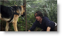 Copyright, Hollywood Pictures