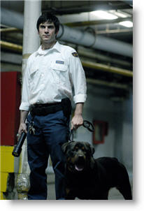 Copyright, Summit Entertainment