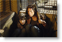 Copyright, Lions Gate Films
