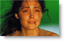 Copyright, 20th Century Fox International, Fox Searchlight Pictures