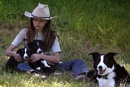 Copyright, Vision Films / Waldo West Productions