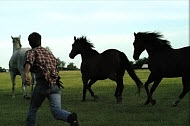 Copyright, Vision Films / Waldo West Productions