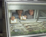 Copyright, Roadside Attractions