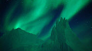 Copyright, Walt Disney Studios Motion Pictures / Disney Nature