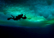 Copyright, Discovery Films, Image Entertainment, Image Entertainment, THINKFilm