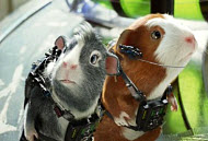 Copyright, Jerry Bruckheimer Films / Walt Disney Studios Motion Pictures
