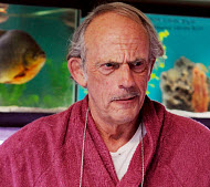 Copyright, Dimension Films, The Weinstein Company