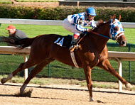 Copyright, Walt Disney Pictures