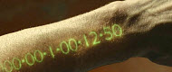 Copyright, Twentieth Century Fox Film Corporation