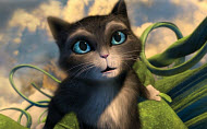 Copyright, Paramount Pictures Corporation, Dreamworks