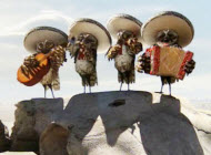 Copyright, Paramount Pictures