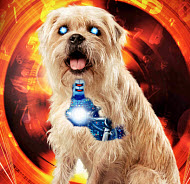 Copyright, Dimension Films
