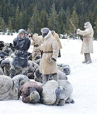 Copyright, Newmarket Films