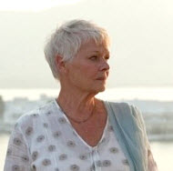 Copyright, Twentieth Century Fox Film Corporation, Fox Searchlight Pictures