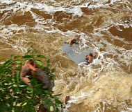 Copyright, Summit Entertainment