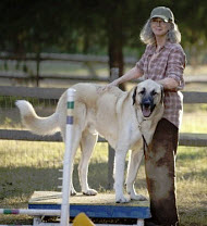 Copyright, Warner Bros. Pictures