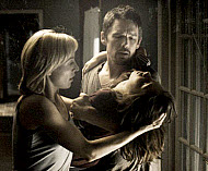 Copyright, Summit Entertainment