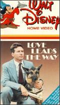 Cover Graphic from Love Leads the Way