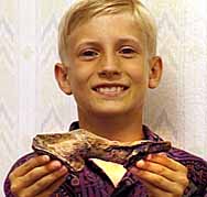 Brain cast from Tyrannosaurus rex