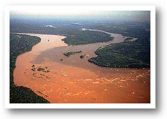 The Amazon Basin. Illustration copyrighted.